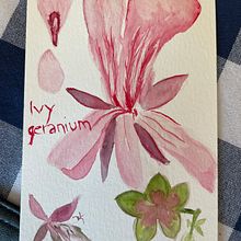 My project for course: Botanical Illustration with Watercolors. Traditional illustration, Fine Arts, Painting, Drawing, Watercolor Painting, and Botanical Illustration project by Bulbul Mankani - 08.05.2023