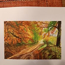Miniatuurtjes in potlood en verf. Un progetto di Illustrazione tradizionale di monique Dobbe - 05.08.2023