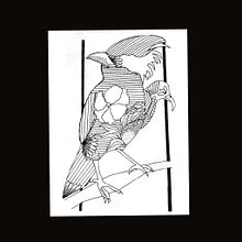 My project for course: Realistic Illustration of Birds with Imaginative Elements. Pencil Drawing, Drawing, Ink Illustration, and Naturalistic Illustration project by skylar756 - 08.03.2023