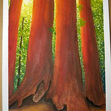 National Parks Gouache. Pintura guache projeto de Sophy - 06.08.2023