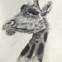 My project for course: Animal Illustration with Charcoal and Ink. Fine Arts, Drawing, Naturalistic Illustration & Ink Illustration project by Natalia Turkiewicz - 08.08.2023