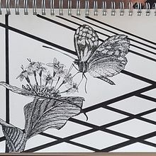 Mein Abschlussprojekt für den Kurs: Moderne botanische Illustration mit Tusche. Un projet de Illustration traditionnelle, Dessin artistique, Illustration botanique et Illustration à l'encre de sabine_noppel - 06.08.2023