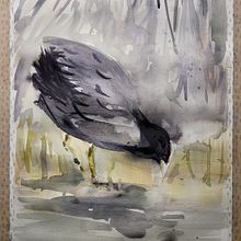 My project for course: Naturalist Watercolor with Expression and Personality Ein Projekt aus dem Bereich Traditionelle Illustration, Aquarellmalerei und Naturalistische Illustration von Molli Woodtagger - 04.08.2023