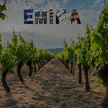 Lista de precios - Bodega EMNA. Un proyecto de Ilustración tradicional y Diseño de Marilia Niño Gutiérrez - 16.04.2023