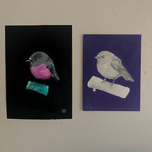 Mein Abschlussprojekt für den Kurs: Traditionelle Ölmalerei für naturalistische Vogelporträts. Un progetto di Belle arti, Pittura, Pittura ad olio e Illustrazione naturalistica di lilli_landmann - 08.08.2023