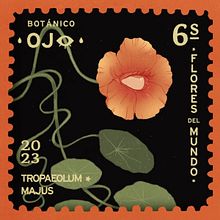 Animación digital dibujada a mano: Botánica. Traditional illustration, Motion Graphics, Animation, 2D Animation, Digital Illustration, and Animated Illustration project by Elena Wa - 08.08.2023