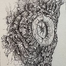 Tree limb wound. Un progetto di Illustrazione tradizionale di philvans - 09.08.2023