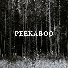 Peekaboo. Marketing, Cop, writing, Stor, telling, Content Marketing, and Communication project by Lucas Louzas - 08.09.2023