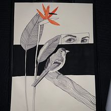 Meu projeto do curso: Ilustração realista de aves com elementos imaginativos. Pencil Drawing, Drawing, Ink Illustration, and Naturalistic Illustration project by Sara Noite - 08.06.2023