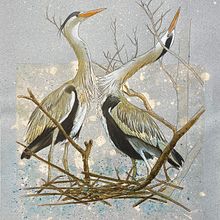 Animali. Un proyecto de Ilustración tradicional, Dibujo, Dibujo con lápices de colores y Pintura a la acuarela de Sonia Bertazzi - 09.08.2023