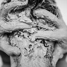 Mutante . Un proyecto de Bellas Artes, Escultura, Cine, Vídeo, Fotografía, Diseño y Dirección de arte de Camila Sol Grosso - 10.08.2023