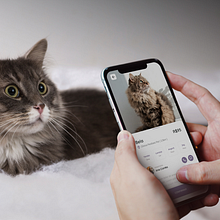 Meu projeto do curso: Design de interfaces para sites e aplicativos. Un progetto di UX / UI, Graphic design, Design interattivo, Web design, Design per smartphone, Design digitale, Progettazione di applicazioni e Design di prodotti digitali di Daniel Ramos - 09.08.2023