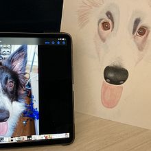 Mi proyecto del curso: Retratos de Mascotas en Lápices de Colores. Un proyecto de Ilustración tradicional e Ilustración naturalista				 de Jennifer Spencer - 10.08.2023