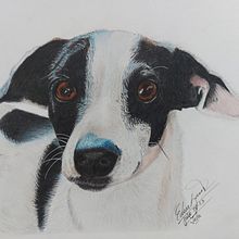 Mi proyecto del curso: Retratos de Mascotas en Lápices de Colores. Traditional illustration, and Naturalistic Illustration project by Edna Lozano - 08.11.2023