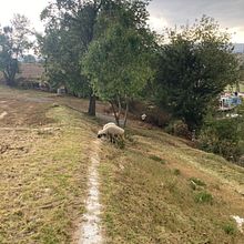 Casa en la montaña. Un proyecto de Paisajismo de Rafael DIAZ HERNANDEZ - 11.08.2023