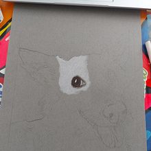 Retrato de mascotas con lapices de colores. Colored Pencil Drawing project by Edna Lozano - 08.11.2023