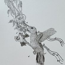 My project for course: Realistic Illustration of Birds with Imaginative Elements. Pencil Drawing, Drawing, Ink Illustration, and Naturalistic Illustration project by Susan Evans - 08.10.2023