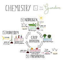 My project for course: Sketchnoting 101: Drawing as a Communication Tool. Projekt z dziedziny Trad, c, jna ilustracja, Doradztwo kreat, wne, T, pografia, Kreat, wność,  R, sunek, Zarządzanie portfolio, Komunikacja,  Pismo dekorac i jne użytkownika Kate Mallia - 12.08.2023
