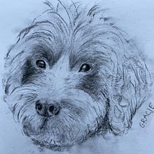 drawing with charcoal. Traditional illustration project by joanna_bickerton - 08.12.2023