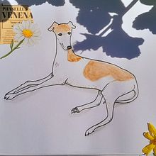 Mi proyecto del curso: Ilustración de animales: dibuja la vida salvaje en tu sketchbook. Un proyecto de Ilustración tradicional, Collage, Sketchbook e Ilustración naturalista				 de la.centaura6 - 12.08.2023