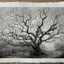 Learning how to use charcoal and watercolour . % Emma B tarafından hazırlanan Geleneksel illüstras, Ve on projesi - 08.12.2023