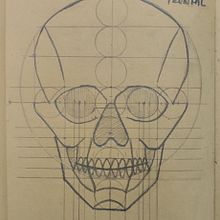 Mi proyecto del curso: Dibujo anatómico de la cabeza humana. Projekt z dziedziny  Sztuki piękne, R, sunek ołówkiem,  R, sunek, Portret, R, sunek realist, czn, R i sunek anatomiczn użytkownika William Pulido Rivera - 12.08.2023