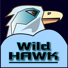 Wild Hawk. Logo Design project by Bogusław Duch - 08.10.2023