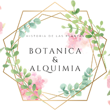 Botánica & Alquimia. Arts, Crafts, Product Design, Social Media, and Creativit project by Miriam Colomo Gil - 06.04.2022
