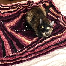 Manta mascotas. Een project van Breien, Textielontwerp y Haken van Maria Carmen Olmeda Saiz - 12.08.2023