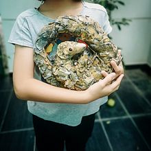 Egg Carton + Cardboard Sculptures. Un projet de Sculpture , et Art conceptuel de Evelyn Chan - 14.08.2023