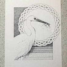 My project for course: Realistic Illustration of Birds with Imaginative Elements. Un projet de Dessin au cra, on, Dessin, Illustration à l'encre et Illustration naturaliste de Jennie Harborth - 14.08.2023