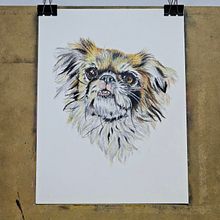 Mi proyecto del curso: Retratos de Mascotas en Lápices de Colores. Traditional illustration, and Naturalistic Illustration project by Jandir Luis Almeyda - 08.15.2023