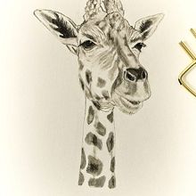 Mi proyecto del curso: Dibujo naturalista de animales con grafito. Traditional illustration, Pencil Drawing, Drawing, and Naturalistic Illustration project by Ana G - 08.15.2023