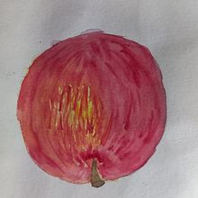 Mi proyecto del curso: Cuaderno botánico en acuarela. Een project van Traditionele illustratie, Aquarelschilderen, Botanische illustratie y Sketchbook van cecilialagamma - 15.08.2023