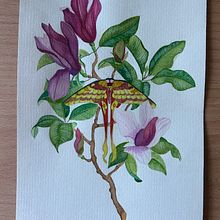 Mijn project van de cursus: Realistisch aquarelleren voor botanische composities. Traditional illustration, Painting, Drawing, Watercolor Painting, and Botanical Illustration project by evaplevier - 08.16.2023