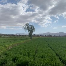 Primeros pasos . % Tutín Lezano tarafından hazırlanan Renkli Kalem Çizimi, Ve Fotoğrafçılık projesi - 08.17.2023