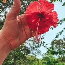 Mi proyecto del curso: Fotografía profesional para Instagram. Photograph, Social Media, Mobile Photograph, Instagram, Instagram Photograph, Lifest, and le Photograph project by chinitaguz_ - 08.13.2023