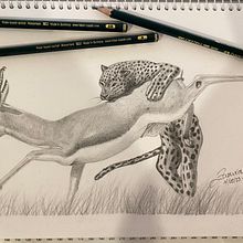 Mi proyecto del curso: Dibujo naturalista de animales con grafito. Traditional illustration, Pencil Drawing, Drawing, and Naturalistic Illustration project by Juan José Zapata - 08.17.2023