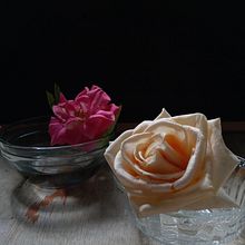 Creciendo en bodegones . % Joe Yakon tarafından hazırlanan Fotoğrafçılık, Ve Tasarım projesi - 08.02.2023