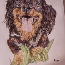 Mi proyecto del curso: Retratos de Mascotas en Lápices de Colores. Traditional illustration, and Naturalistic Illustration project by Marta Yuste - 08.18.2023