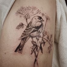 Mój projekt z kursu: Tatuaż w stylu fineline: odkryj subtelność cienkiej linii. Traditional illustration, Drawing, and Tattoo Design project by An L - 08.18.2023