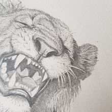 Mein Abschlussprojekt für den Kurs: Realistische Tierporträts mit Bleistift. Traditional illustration, Pencil Drawing, Drawing, and Naturalistic Illustration project by bruena27 - 08.18.2023