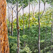 Australian Forests. Projekt z dziedziny Malarstwo akr i lowe użytkownika Reg Watson - 19.08.2023