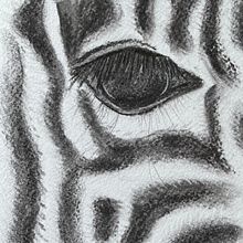 My project for course: Animal Illustration with Charcoal and Ink. Projekt z dziedziny  Sztuki piękne,  R, sunek,  R, sunek atramentem, Ilustracja naturalist i czna użytkownika Ira - 16.08.2023