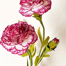 Claveles de papel pintados a mano Ein Projekt aus dem Bereich Blumen- und Pflanzendesign, Farbenlehre, Briefpapier-Design und Kartonmodellbau von Manuela Maya Rendón - 27.07.2023