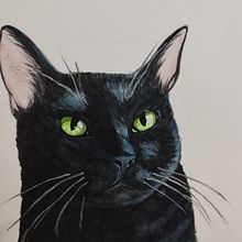 Meu projeto do curso: Retratos expressivos de animais em aquarela. Traditional illustration, Watercolor Painting, Realistic Drawing, and Naturalistic Illustration project by Amanda Toledo - 08.20.2023