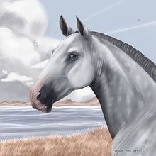 Grey horse. Un proyecto de Ilustración digital, Dibujo digital y Pintura digital de Joana Rita - 20.08.2023