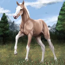 Palomino horse . Un proyecto de Ilustración tradicional, Ilustración digital, Dibujo digital y Pintura digital de Joana Rita - 20.08.2023