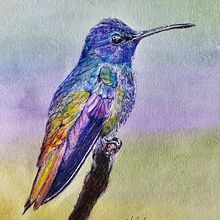 Mi proyecto del curso: Retratos de Mascotas en Lápices de Colores. Un proyecto de Ilustración tradicional e Ilustración naturalista				 de Alessandro GR - 20.08.2023