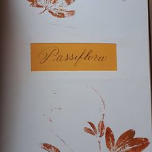 Erbario a nature printing. Traditional illustration, Arts, Crafts, Education, L, scape Architecture, Creativit, and Picturebook project by Antonella Armeni - 08.21.2023